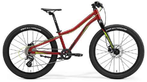 Jgd. Mountainbike »Matts J. 24 Lite«