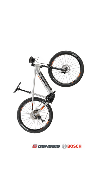 E-Mountainbike »e-Pro MTB 3.3 PT«