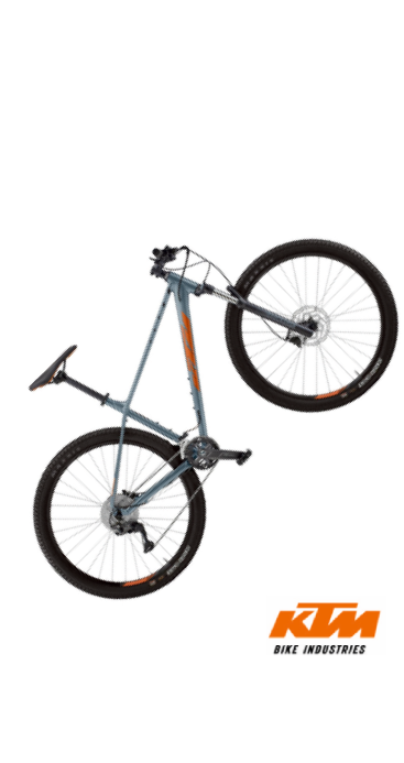 Mountainbike »Alp Pro 29«