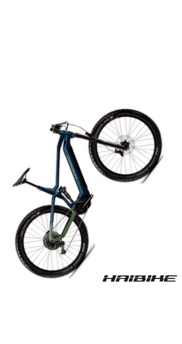 29'' Haibike »ALLtrail 9«