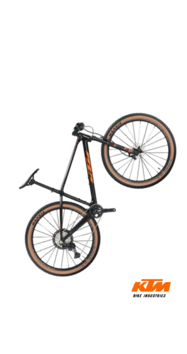 Mountainbike »Myroon Master«