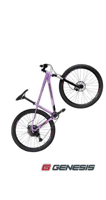 Mountainbike »Impact 6.2 Lady«